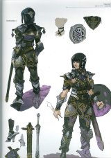 BUY NEW valkyrie profile - 193922 Premium Anime Print Poster